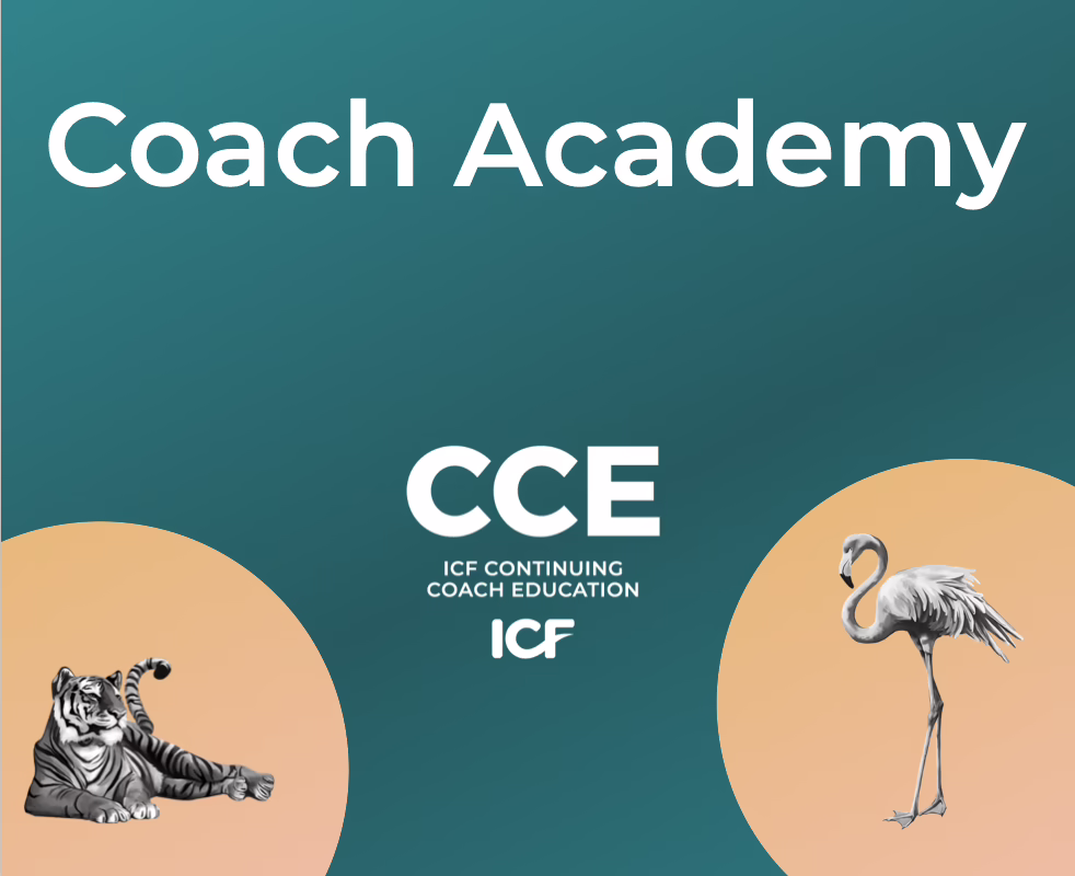 Tigers & Flamingos Coach Academy. Evolve your coaching. ICF certified ICF CCE