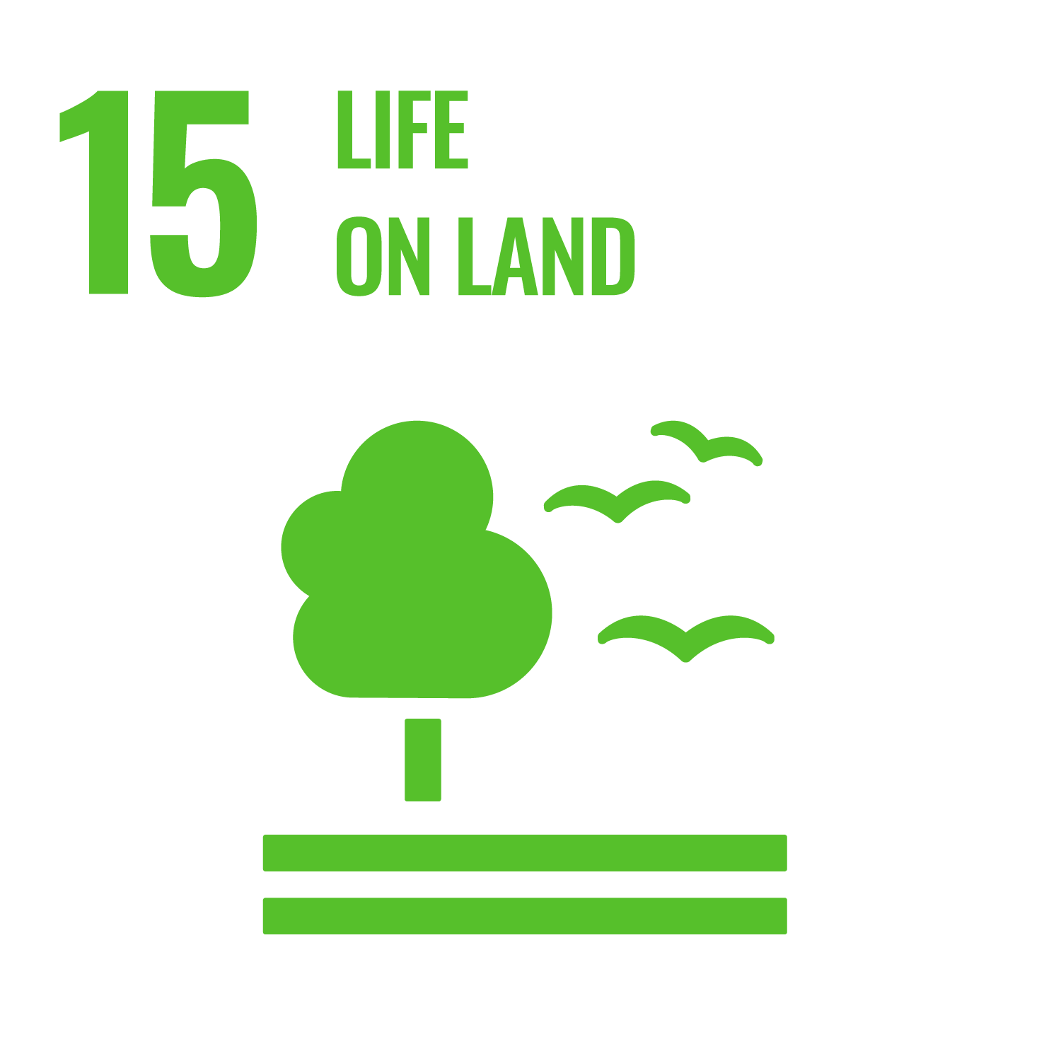 SDG Social Development Goals 15 Life on Land