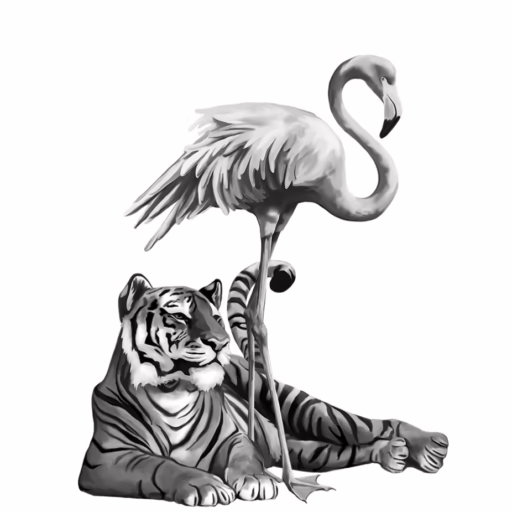 Tiger and Flamingo Visuals
